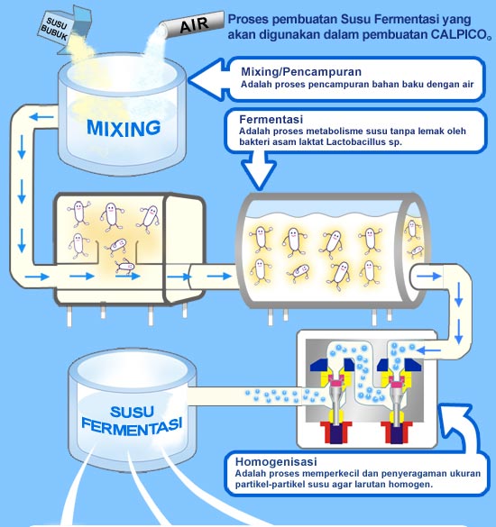 Detail Gambar Mikroorganisme Yoghurt Nomer 7