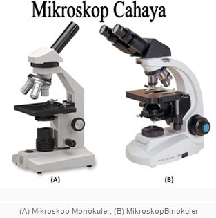 Detail Gambar Mikroskop Binokuler Dan Bagiannya Nomer 17