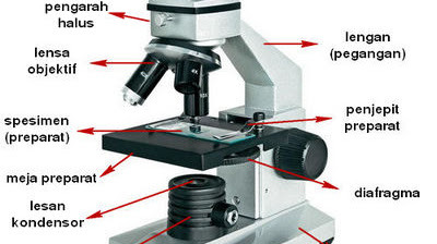 Detail Gambar Mikroskop Binokuler Dan Bagiannya Nomer 19