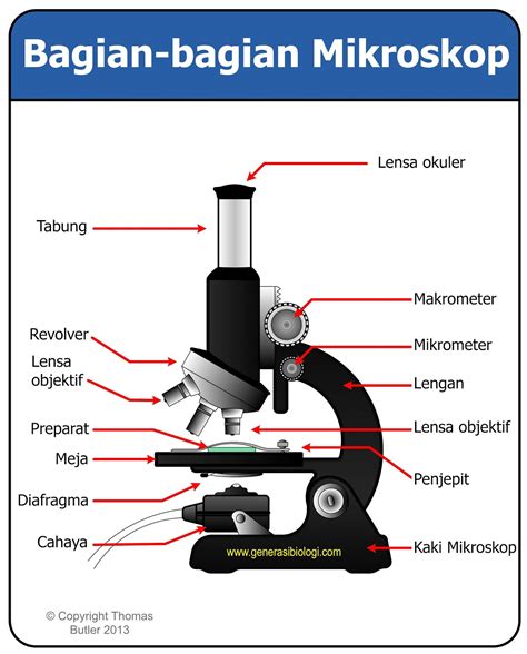 Detail Gambar Mikroskop Binokuler Dan Bagiannya Nomer 29