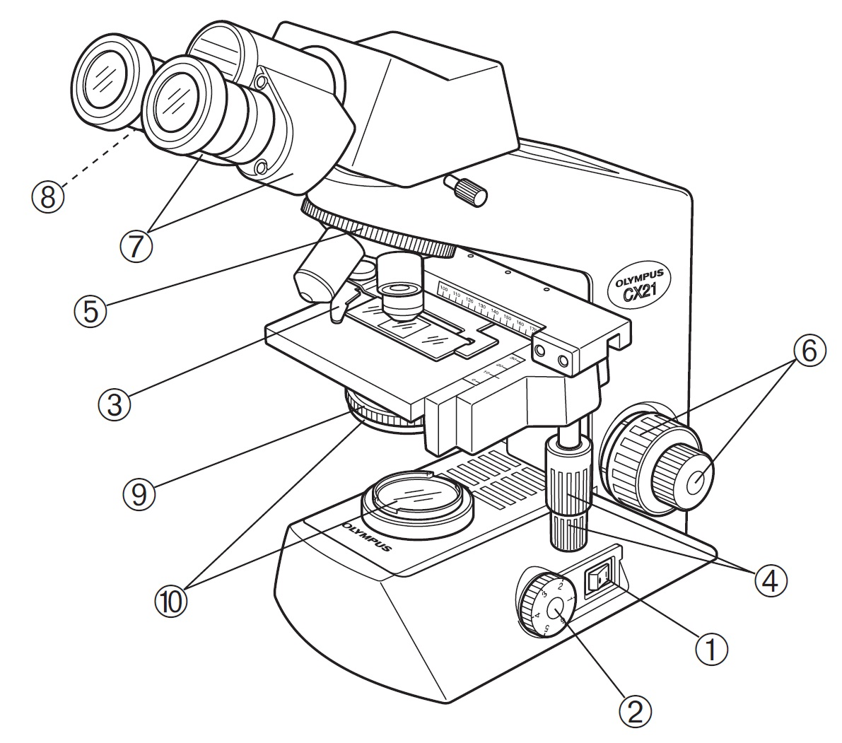 Detail Gambar Mikroskop Binokuler Dan Bagiannya Nomer 31