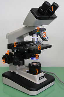 Detail Gambar Mikroskop Binokuler Dan Bagiannya Nomer 33
