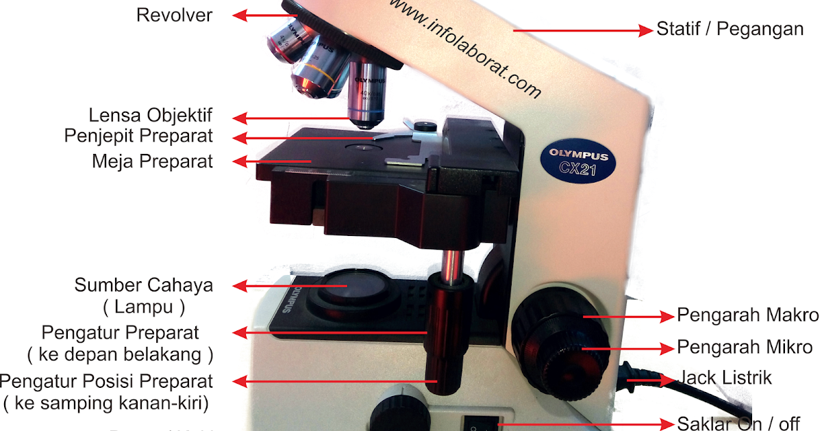 Detail Gambar Mikroskop Binokuler Dan Bagiannya Nomer 39
