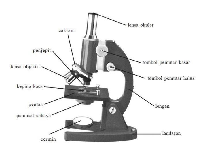 Detail Gambar Mikroskop Cahaya Nomer 11