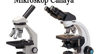 Detail Gambar Mikroskop Cahaya Nomer 13
