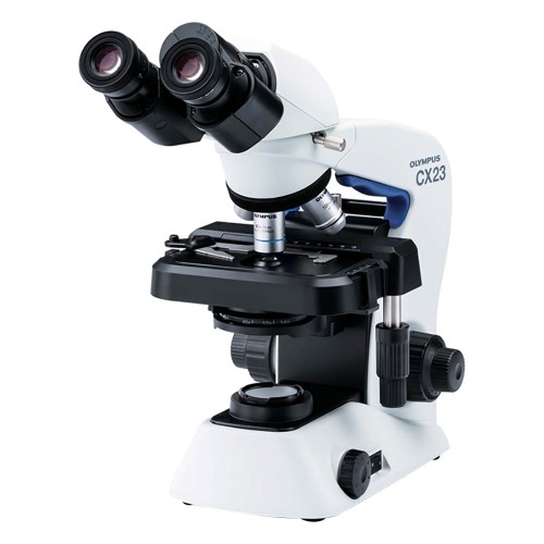 Detail Gambar Mikroskop Cahaya Nomer 19