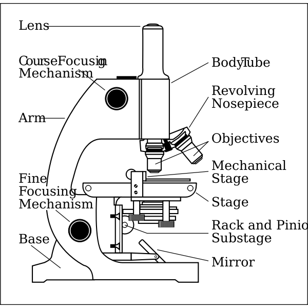 Detail Gambar Mikroskop Cahaya Nomer 27