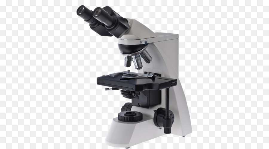 Detail Gambar Mikroskop Cahaya Nomer 40