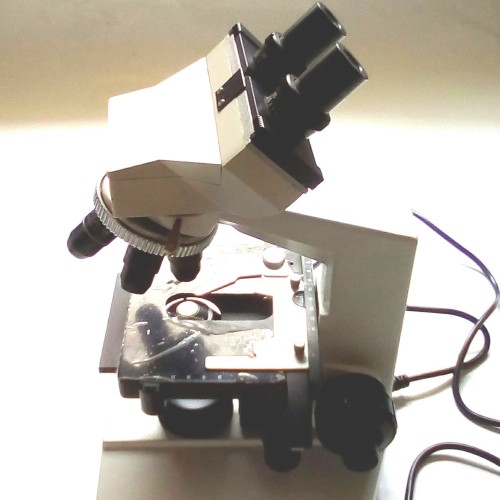 Detail Gambar Mikroskop Cahaya Nomer 48