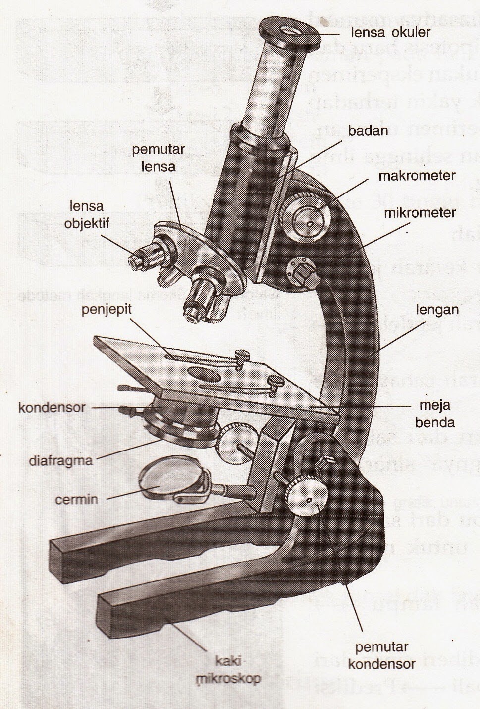 Detail Gambar Mikroskop Dan Bagian Bagiannya Nomer 14