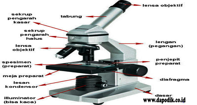 Detail Gambar Mikroskop Dan Bagiannya Nomer 22