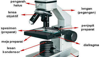 Detail Gambar Mikroskop Dan Bagiannya Nomer 26