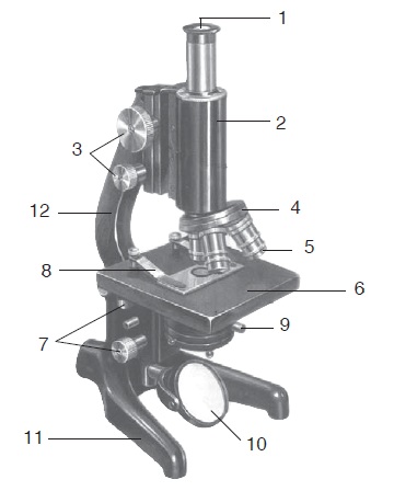 Detail Gambar Mikroskop Dan Bagiannya Nomer 28