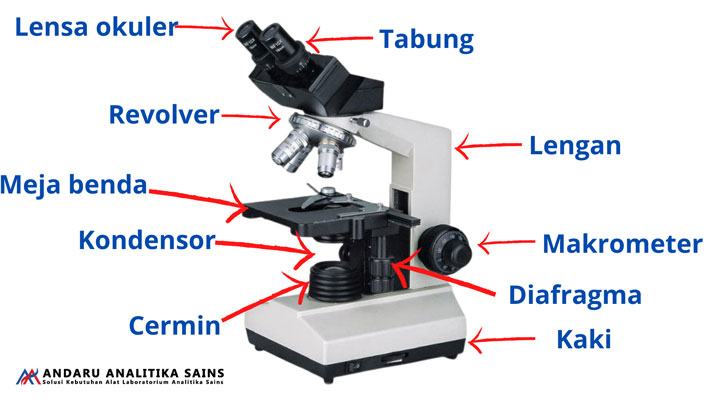 Detail Gambar Mikroskop Dan Keterangan Nomer 46