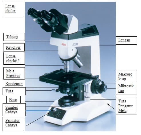 Detail Gambar Mikroskop Dan Keterangannya Nomer 28