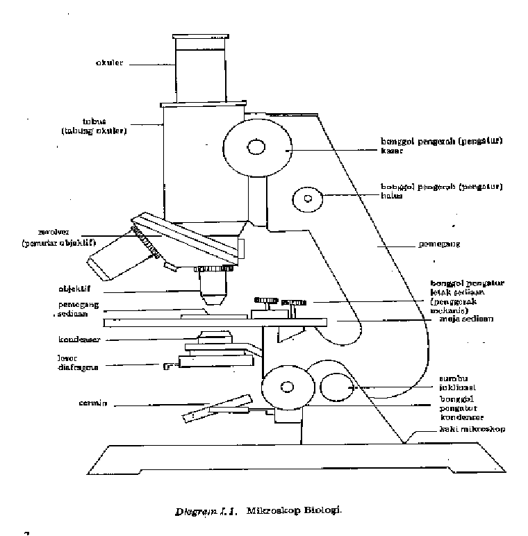 Detail Gambar Mikroskop Hitam Putih Nomer 23