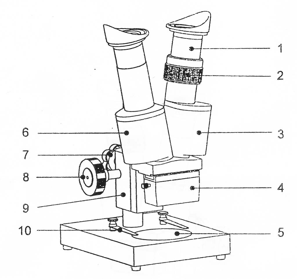 Detail Gambar Mikroskop Hitam Putih Nomer 35