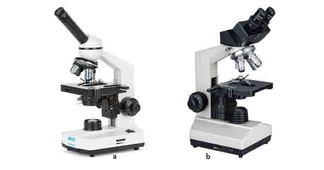 Detail Gambar Mikroskop Monokuler Nomer 12