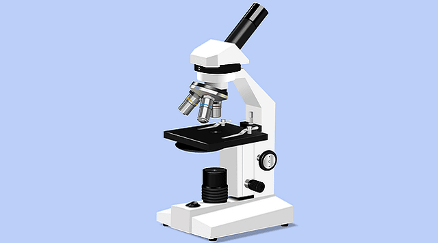 Detail Gambar Mikroskop Monokuler Nomer 4