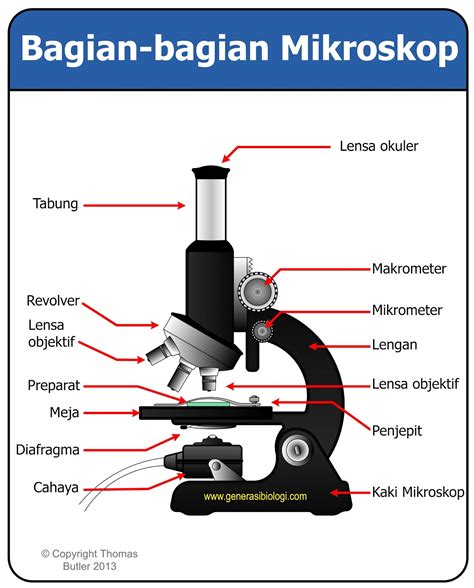 Detail Gambar Mikroskop Monokuler Nomer 32