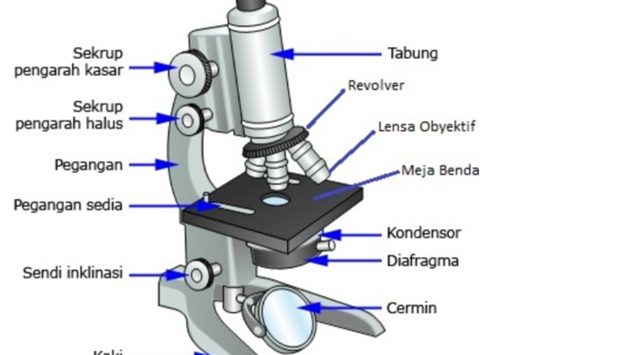 Detail Gambar Mikroskop Monokuler Nomer 43