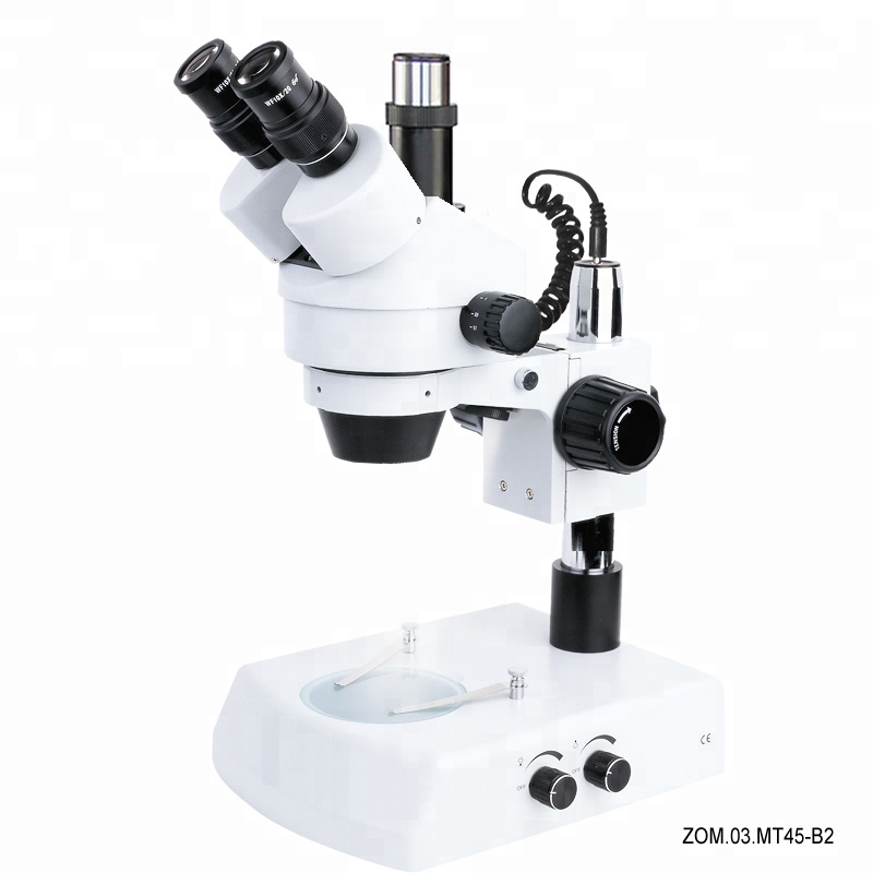 Detail Gambar Mikroskop Stereo Nomer 17