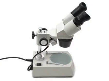 Detail Gambar Mikroskop Stereo Nomer 38