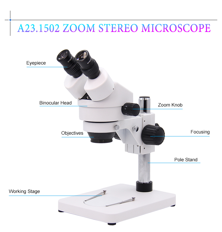 Detail Gambar Mikroskop Stereo Binokuler Nomer 10
