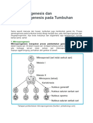 Detail Gambar Mikrosporosit Dan Makrosporosit Tumbuhan Nomer 37