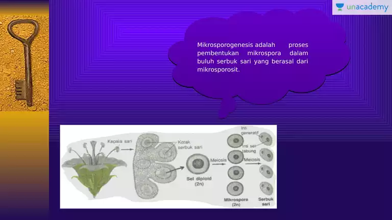 Detail Gambar Mikrosporosit Dan Makrosporosit Tumbuhan Nomer 38