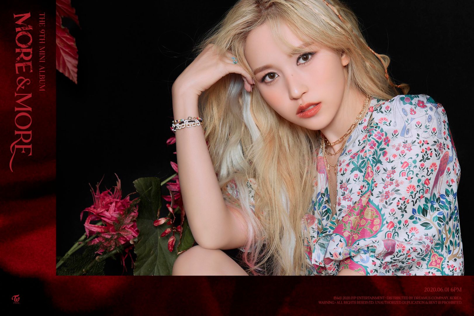 Detail Gambar Mina Twice Nomer 17