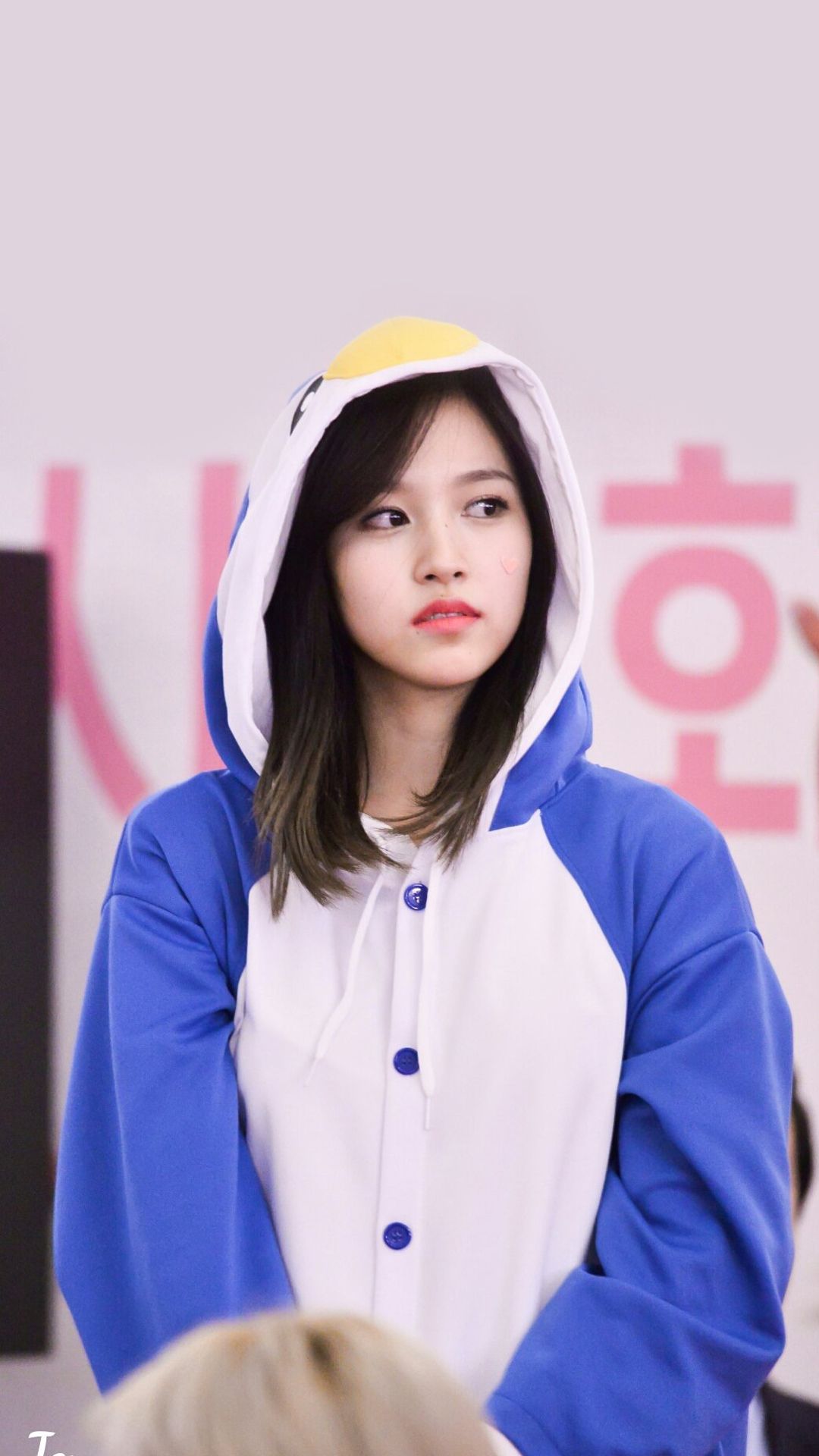 Detail Gambar Mina Twice Nomer 37