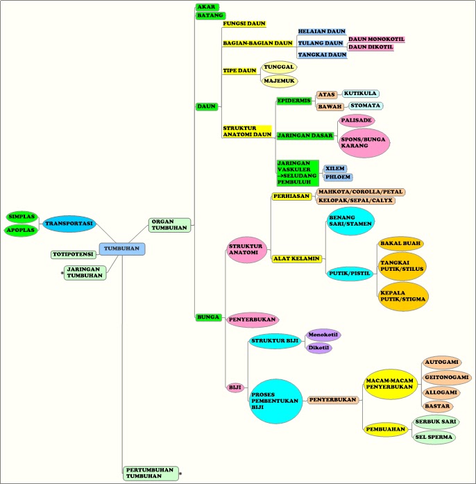 Detail Gambar Mind Mapping Bunga Nomer 47