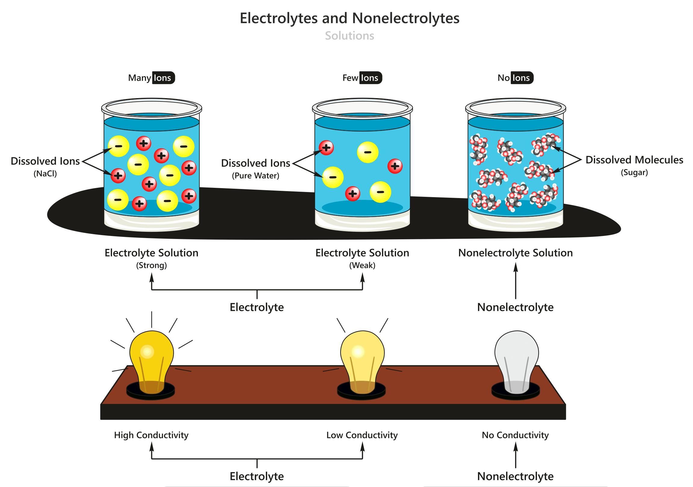 Detail Gambar Minuman Elektrolit Dan Ion Ion Yang Terkandung Didalamnya Nomer 31