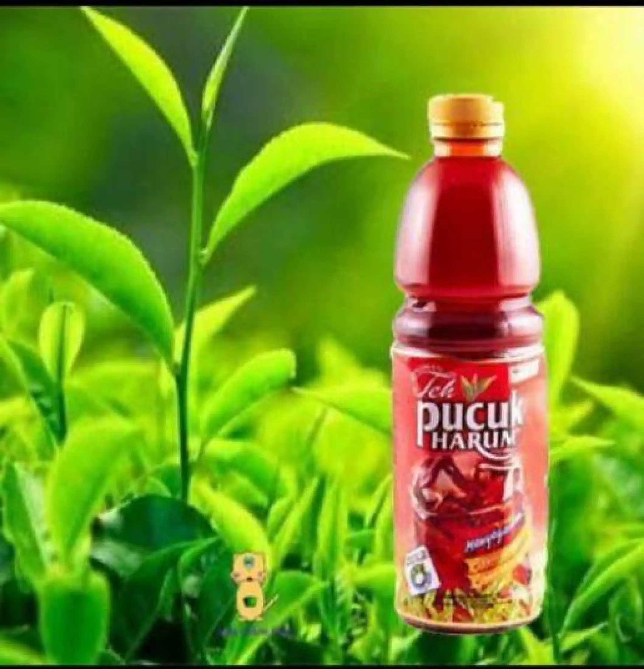 Detail Gambar Minuman Teh Pucuk Nomer 43