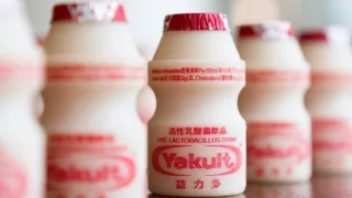 Detail Gambar Minuman Yakult Nomer 39