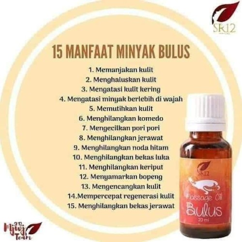 Detail Gambar Minyak Bulus Nomer 55