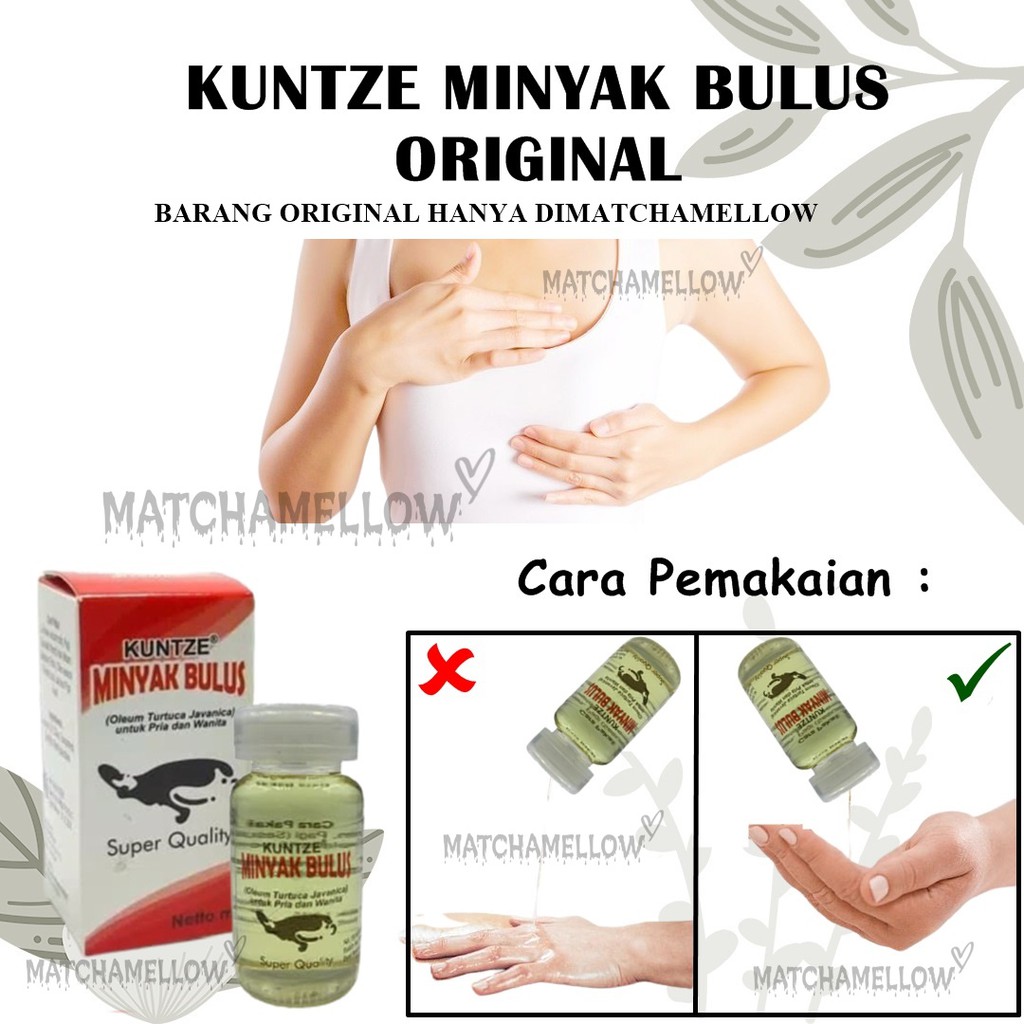 Detail Gambar Minyak Bulus Asli Nomer 25