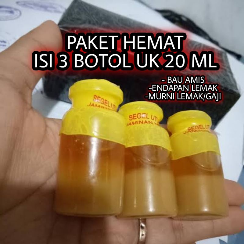 Detail Gambar Minyak Bulus Asli Nomer 45