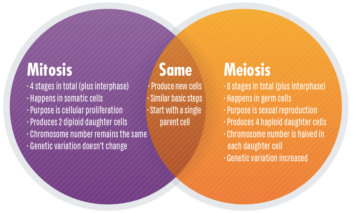 Detail Gambar Mitosis Dan Meiosis Nomer 7