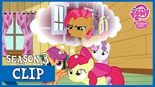 Detail Gambar Mlp Babs Seed Nomer 24