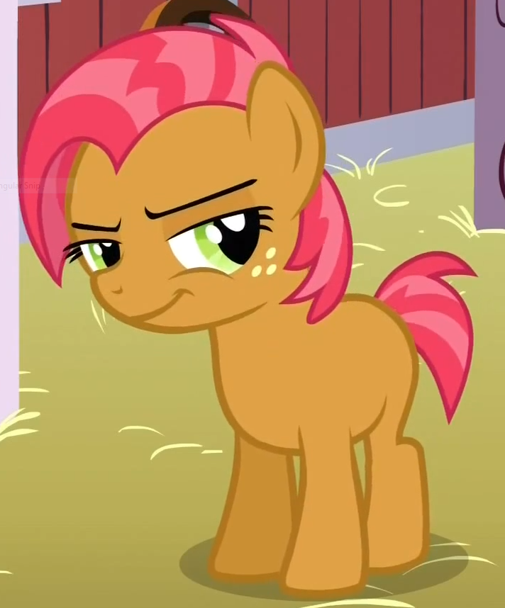 Detail Gambar Mlp Babs Seed Nomer 9
