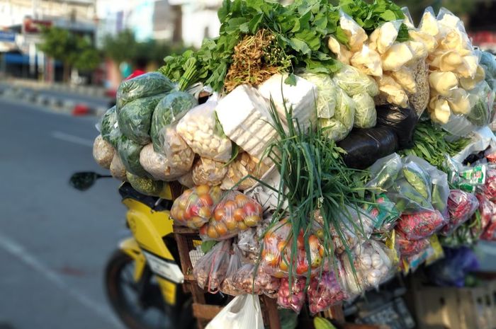 Detail Gambar Mobil Angkut Sayur Nomer 45