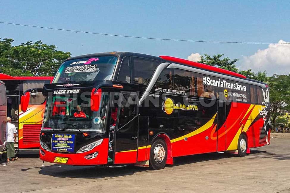 Detail Gambar Mobil Bus Pariwisata Nomer 53