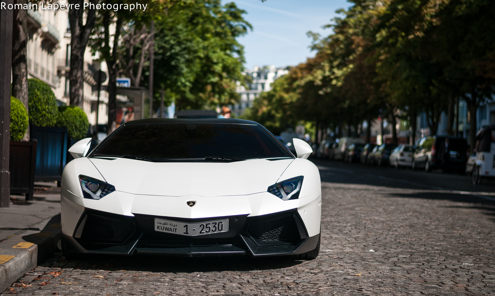 Detail Gambar Mobil Lamborghini Hitam Putih Nomer 56