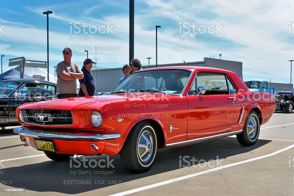 Detail Gambar Mobil Mustang Nomer 50