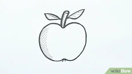 Detail Gambar Model Buah Nomer 12