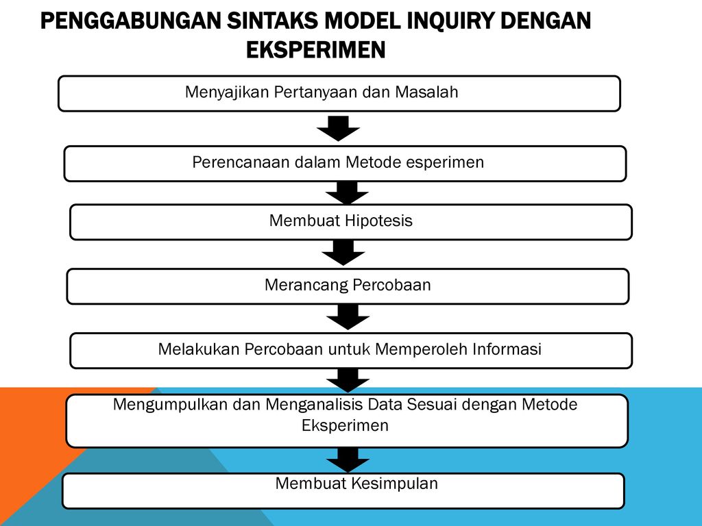 Detail Gambar Model Eksperimen Nomer 12