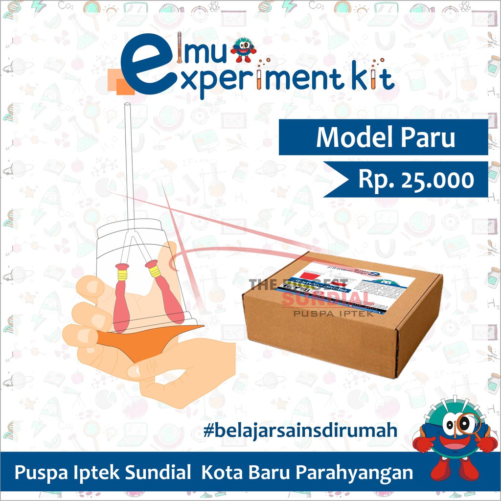 Detail Gambar Model Eksperimen Nomer 23
