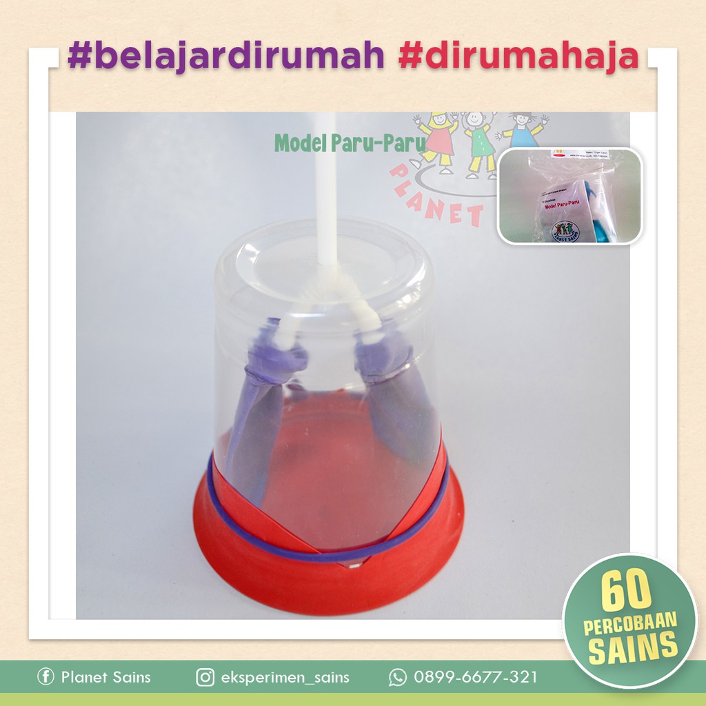 Detail Gambar Model Eksperimen Nomer 41